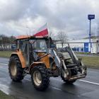 Fotka nr 4 z 8