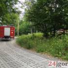 zdjęcie nr 7