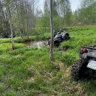 Fotka nr 4 z 25