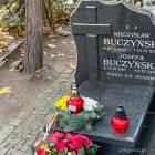 zdjęcie nr 12