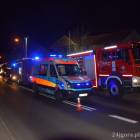 Fotka nr 1 z 15