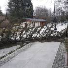 zdjęcie nr 8