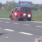 zdjęcie nr 8