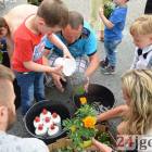 zdjęcie nr 41