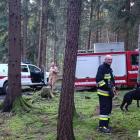 fot. Policja Jelenia Góra