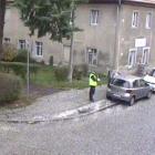 fot. Straż Miejska Jelenia Góra