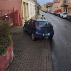 fot. Straż Miejska Jelenia Góra