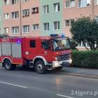 Fotka nr 4 z 5