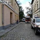 Fotka nr 2 z 6