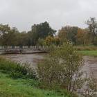 Fotka nr 5 z 16