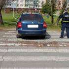 Fotka nr 5 z 7