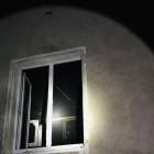 zdjęcie nr 8
