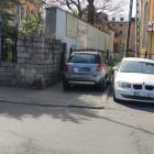 fot. Straż Miejska Jelenia Góra