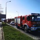 Fotka nr 2 z 16
