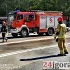 Fotka nr 3 z 14