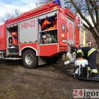 zdjęcie nr 15