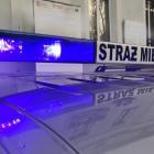 fot. Straż Miejska Jelenia Góra