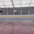Fotka nr 4 z 13