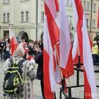 zdjęcie nr 14