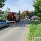 Fotka nr 1 z 13