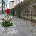 zdjęcie nr 5
