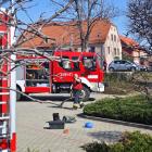 Fotka nr 2 z 11