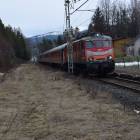 Fotka nr 2 z 10