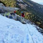Fotka nr 4 z 10