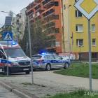 Fotka nr 5 z 7