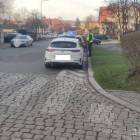 Fotka nr 1 z 11