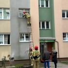 Fotka nr 1 z 10