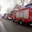 Fotka nr 3 z 12