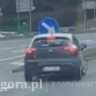 Fotka nr 2 z 4