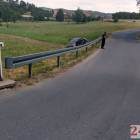 Fotka nr 5 z 9