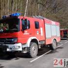 Fotka nr 3 z 7