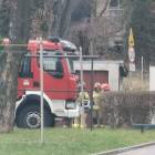 Fotka nr 1 z 4