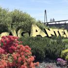 zdjęcie nr 47