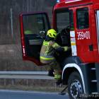 Fotka nr 4 z 19