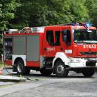 Fotka nr 4 z 15