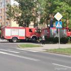Fotka nr 3 z 13