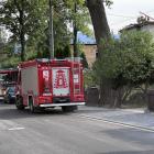 Fotka nr 2 z 11