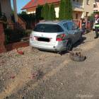 zdjęcie nr 8