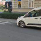 fot. Straż Miejska Jelenia Góra