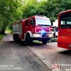 Fotka nr 5 z 19