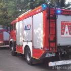 Fotka nr 5 z 7