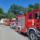 Fotka nr 1 z 2
