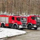 Fotka nr 4 z 10