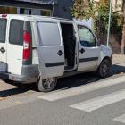 fot. Straż Miejska Jelenia Góra