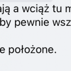Fotka nr 3 z 19