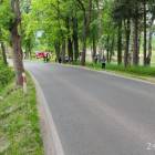 zdjęcie nr 8